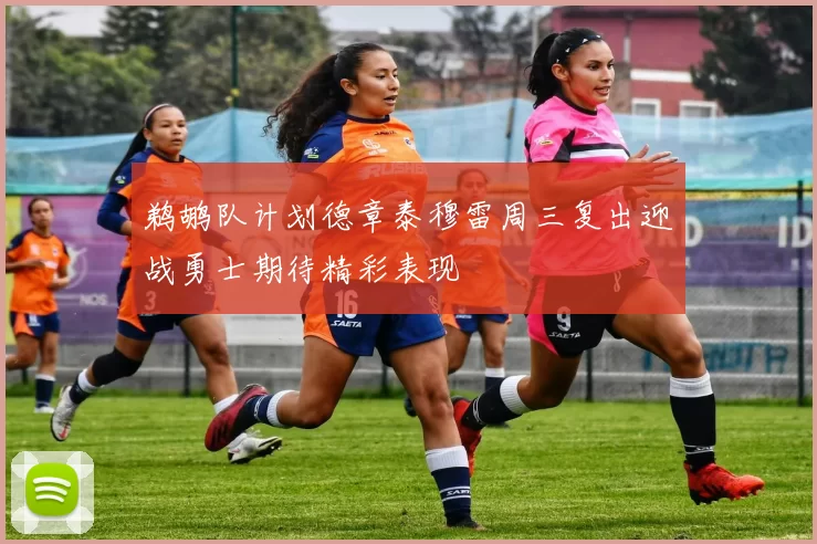 鹈鹕队计划德章泰穆雷周三复出迎战勇士期待精彩表现